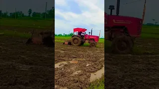Tractor lover #short