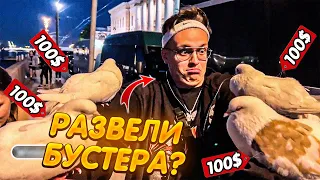 БУСТЕРА ЗАСКАМИЛИ В ПИТЕРЕ !? // БУСТЕР С ГОЛУБЯМИ