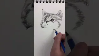 cat drawing😍 #diycrafts #drawing #cats #creativity #crafts #hacks #easyhacksforeasylife #viral