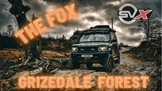 Grizedale Green Lane AKA The Fox (4K)