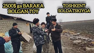 KOK TOY SOTUVDA. 4 YOSH TOY SOTUVDA. BOI 1.60. TARBIYA QILISH KERAK