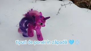 Tipuri de ponei în zăpadă 🩵❄️ (partea 1)