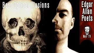 Best Optical Illusions Ever the Collection