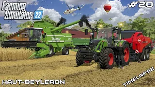 Harvesting WHEAT with MrsTheCamPeR | Animals on Haut-Beyleron | Farming Simulator 22 | Episode 20