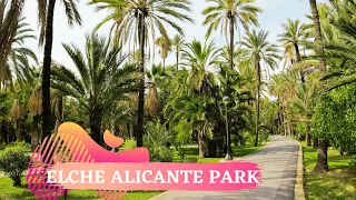ELCHE - ALICANTE 4K Park To Visit In The Province Of Alicante /  Relaxing Walk Through Elche 🌴
