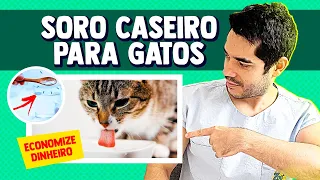 APRENDA HOJE a fazer Soro Caseiro para Gato. Quando usar, INGREDIENTES e qual a quantidade!