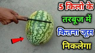 5 किलो के तरबूज में कितना जूस ( पानी ) निकलेगा ? How much juice will come out in 5 kg watermelon?