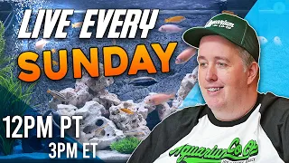 The Aquarium Co-Op Med Trio Questions Answered - Live Sundays 12pm PST/3PM EST