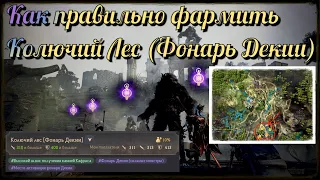 Black Desert / BD: Как правильно фармить спот Колючий лес (Фонарь Декии)