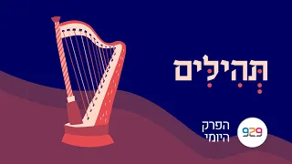 חצי שעה על הפרק היומי | תהלים כב | עם דניאל שרשבסקי