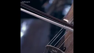 Game of Thrones-The Danish National Symphony Orchestra(Live )