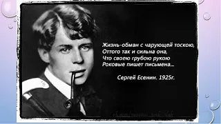 ЖАБА ЧЁРНАЯ ТВОЕЙ МЕЧТЫ -- Влад НЕЖНЫЙ