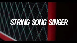 Amp Demo | Dumble Steel String Singer #004 Clone｜Srting Song Singer by Gravitywavesamp Demo1