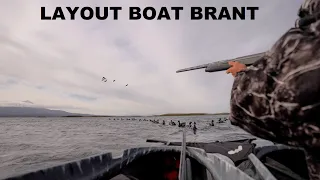 Layout Boat Hunt in The Middle of Alaska's Bering Sea!!
