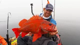 Kayak Fishing: Red Rockfish in the Fog | #FieldTrips West Coast | Field Trips with Robert Field