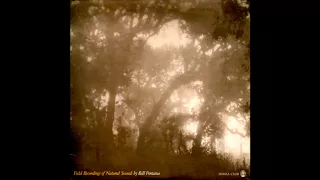 Bill Fontana - Field Recordings of Natural Sounds