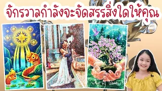 จักรวาลกำลังจะจัดสรรสิ่งใดให้คุณจากนี้จนตลอดปี!!🌹pick a deck🏡💍👩‍❤️‍💋‍👨🍀🦋