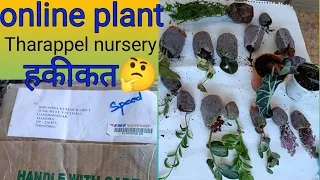 Online plant kaha se le#ऑनलाइन पौधे कहा से ले# how to buy online plant