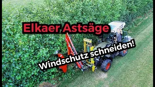 Obsthof Raddatz - Windschutz schneiden! Mit der Elkaer Astsäge I EXTREM FLEXIBEL!