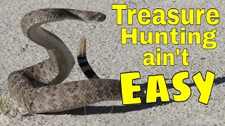 Treasure Hunting nightmares | Snakes why did it have to be snakes  #shorts