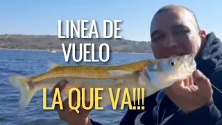 Linea de vuelo para pejerrey...la que va!!!