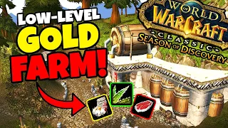 This Low Level Goldfarm is Amazing - Season of Discovery Goldfarm