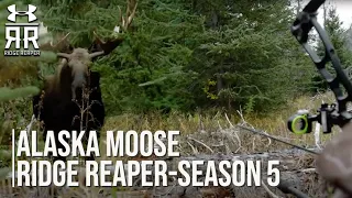 Alaska Moose with Remi Warren - Ridge Reaper  Season 5