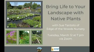 Bring Life to Your Landscape with Native Plants