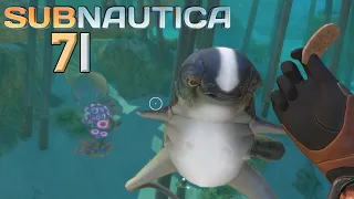 SUBNAUTICA 🌊 Das Aquarium ist INFIZIERT! | LETS PLAY | #071