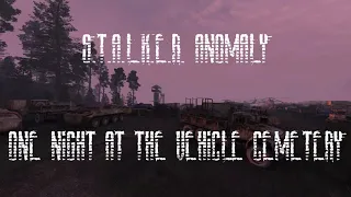 S.T.A.L.K.E.R. Anomaly Ambience - One Night at the Vehicle Cemetery