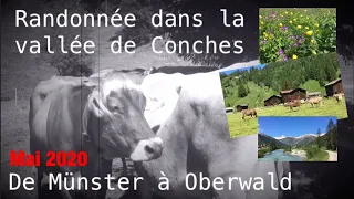 Randonnée dans la vallée de Conches (Goms)