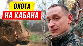 ОХОТА на кабана с вышки | Cекреты ОХОТЫ с вышки | Подкормочная площадка