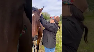 Beginner Vs Experienced Horse 🐴 Owners! #shorts #animals