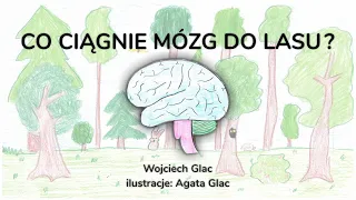 Lekcje UG - "Co ciągnie mózg do lasu?" - dr Wojciech Glac, prof. UG