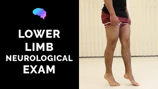 Lower Limb Neurological Examination - OSCE guide (old version) | UKMLA | CPSA