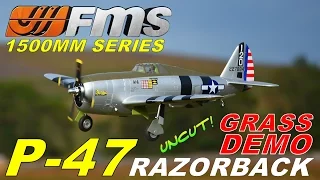 FMS P-47 RAZORBACK 1500MM UNCUT GRASS FLIGHT DEMO By: RCINFORMER