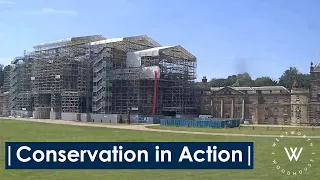 Conservation in Action | Wentworth Woodhouse