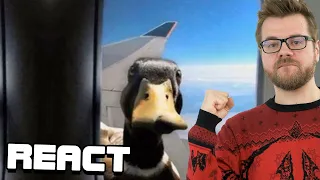 React: quackers the duck has memes for you