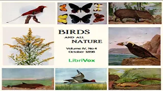 Birds and all Nature, Vol. IV, No 4, October 1898 by VARIOUS read by Various | Full Audio Book