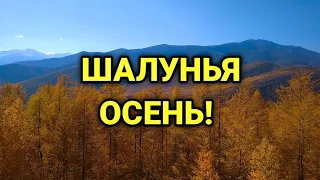 Шалунья осень!