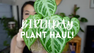 BIRTHDAY PLANT HAUL | Philodendrons, Anthuriums, and Hoyas!