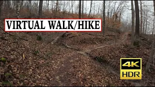 A Virtual Walking/Hiking Tour: Strouds Run State Park - South Of Dow Lake (Athens, Ohio) - 4K HDR