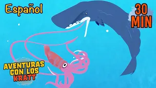 Batalla de Ballenas y Calamares | Animales del Oceano | Aventuras con los Kratt