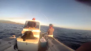 Рыбалка в средиземноморье на ротфиш