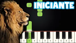 Ruja O Leão - Talita Catanzaro | Piano e Teclado Iniciante | Nível Fácil | Tutorial