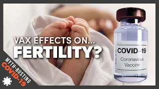 Are there concerns surrounding fertility effects from having a covid vaccine?