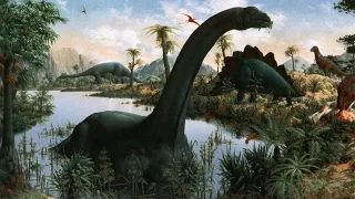 Официальная наука нам врет,а ведь динозавры не вымерли. Динозавров уничтожили 1500 лет тому назад.