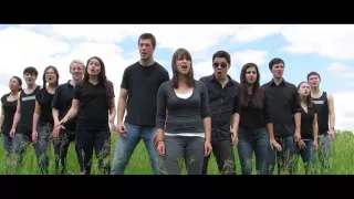 Some Nights (Fun.) - Veritones A Cappella Cover