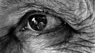 The Ageing Eye - Professor William Ayliffe