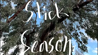 Stick Season - Noah Kahan cover